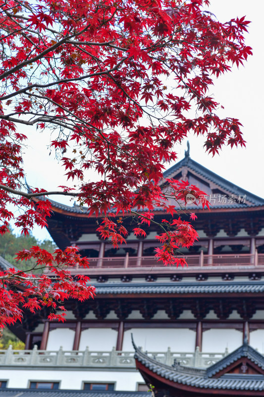 红枫叶古建筑背景