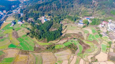 春耕农田农业种植山川丘陵航拍图