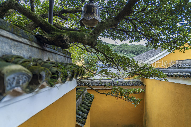 浙江普陀山慧济禅寺