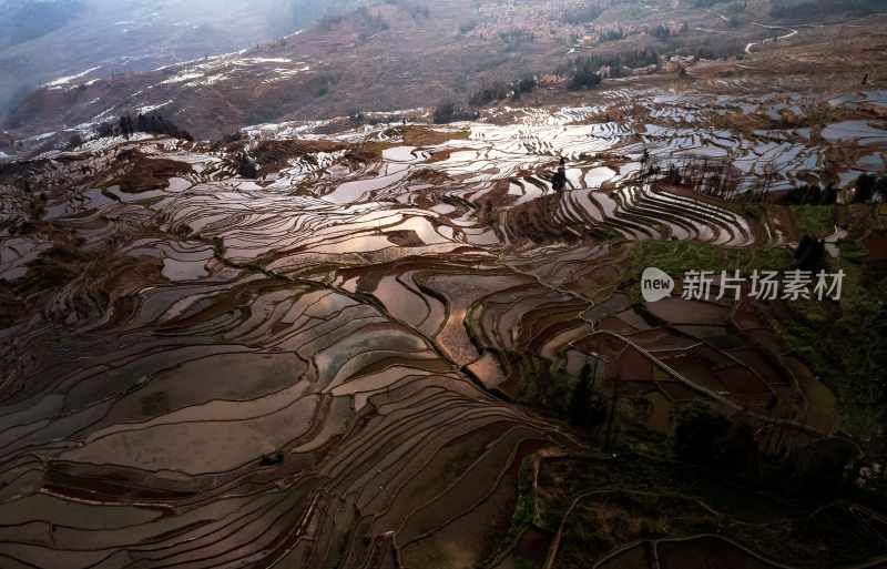 云南旅游大理洱海蒙自弥勒建水元阳梯田景区