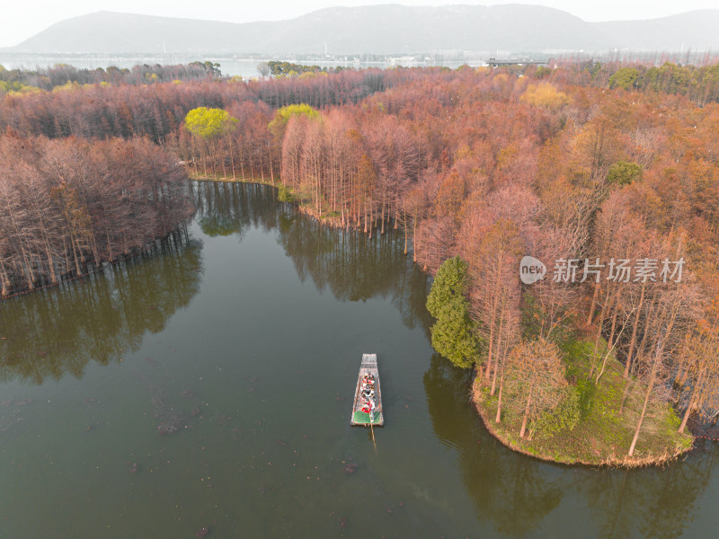 航拍苏州常熟尚湖风景区水杉林与竹筏