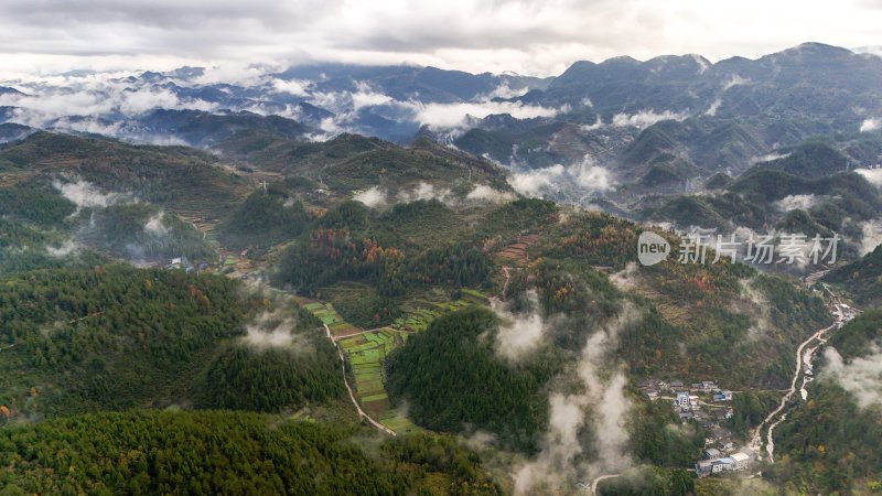 重庆酉阳：白果树边的美景