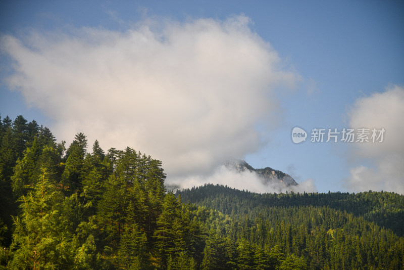 蓝天白云森林山峰