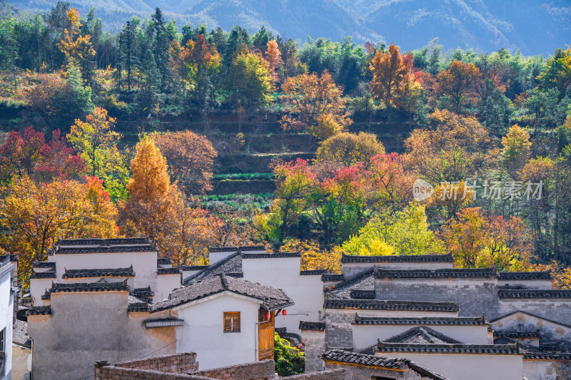 皖南秋色塔川国家森林公园