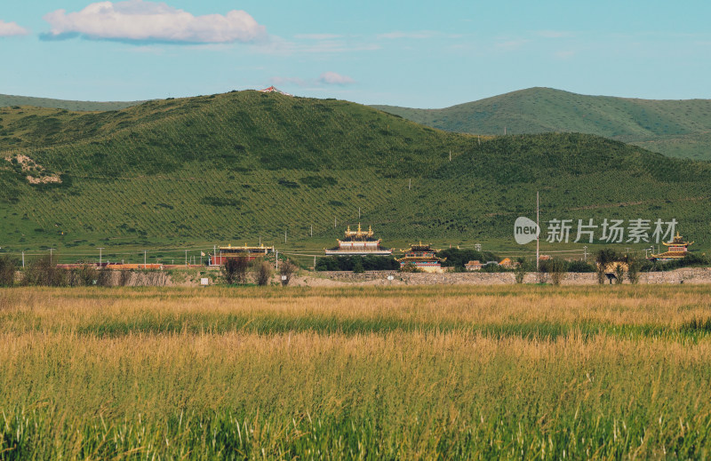 川西若尔盖甘南草原河流