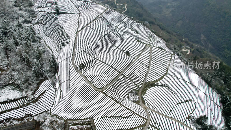 农村村庄里的大雪寒潮天气