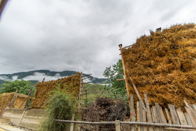 云雾缭绕下的草原山峰