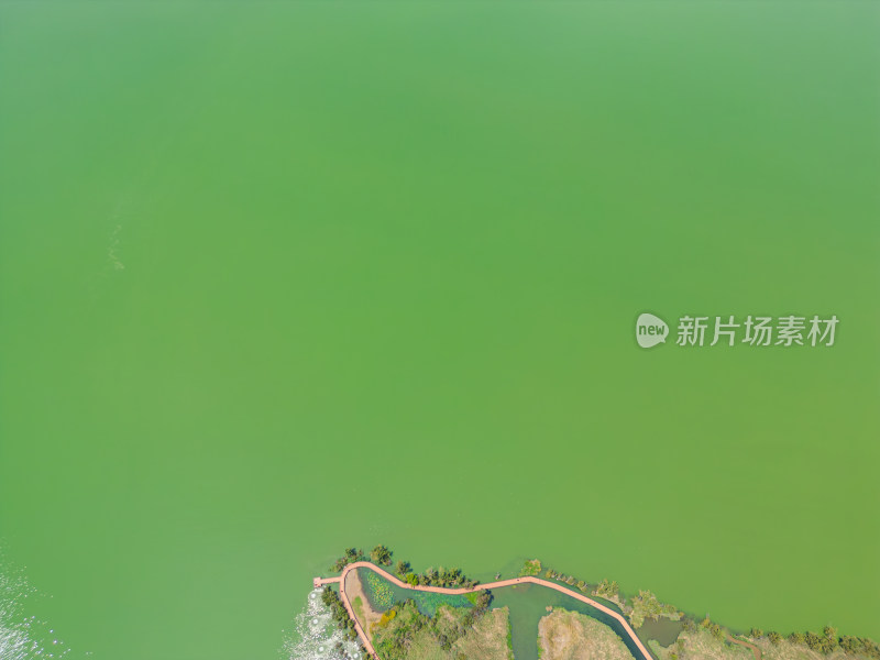 航拍昆明滇池捞鱼河湿地公园景观