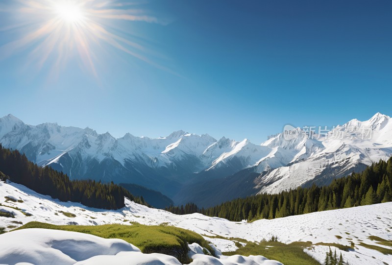 雪山草原森林风景