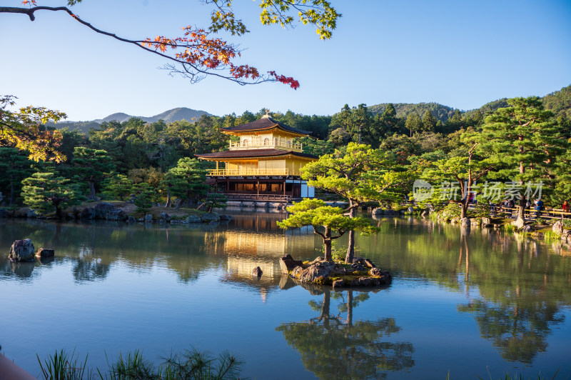 日本京都金阁寺金色舍利殿近景特写