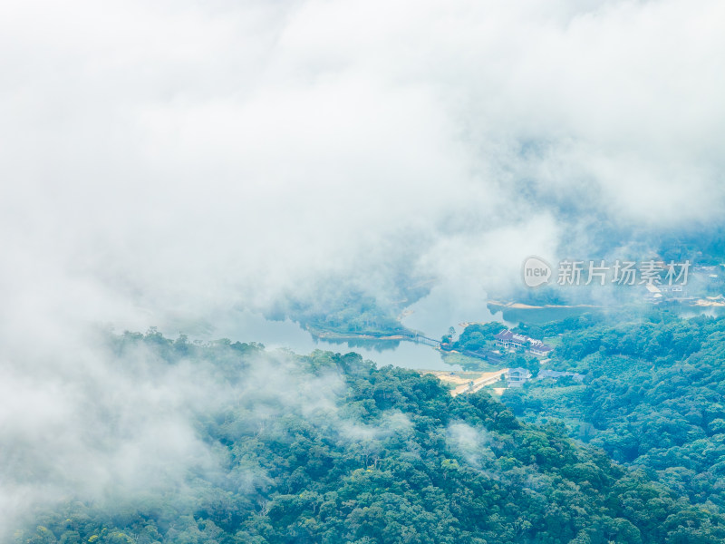 海南乐东县尖峰岭国家森林公园热带雨林