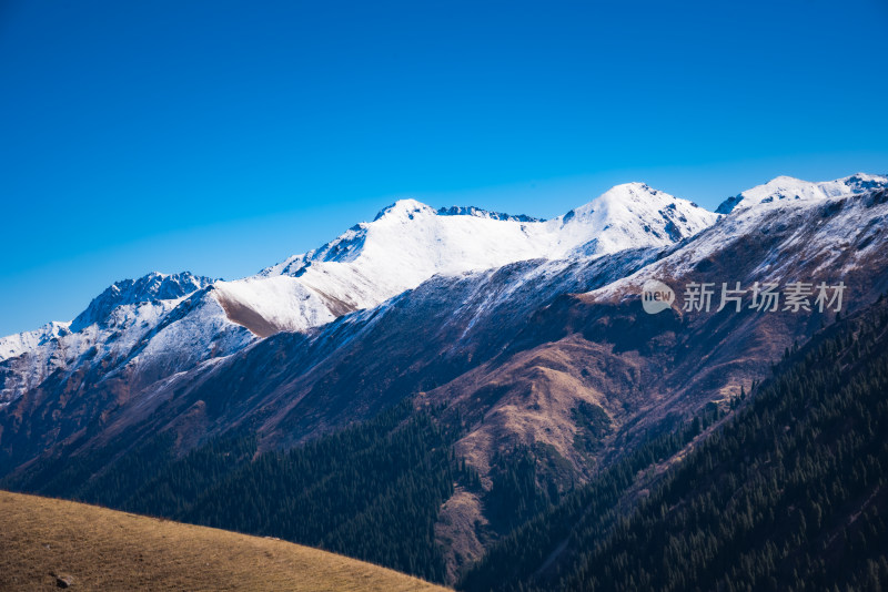 新疆天山山脉秋天雪山牧场风景