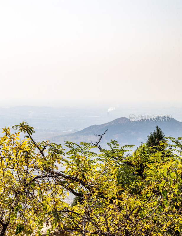 山林间远景山脉与植被景观