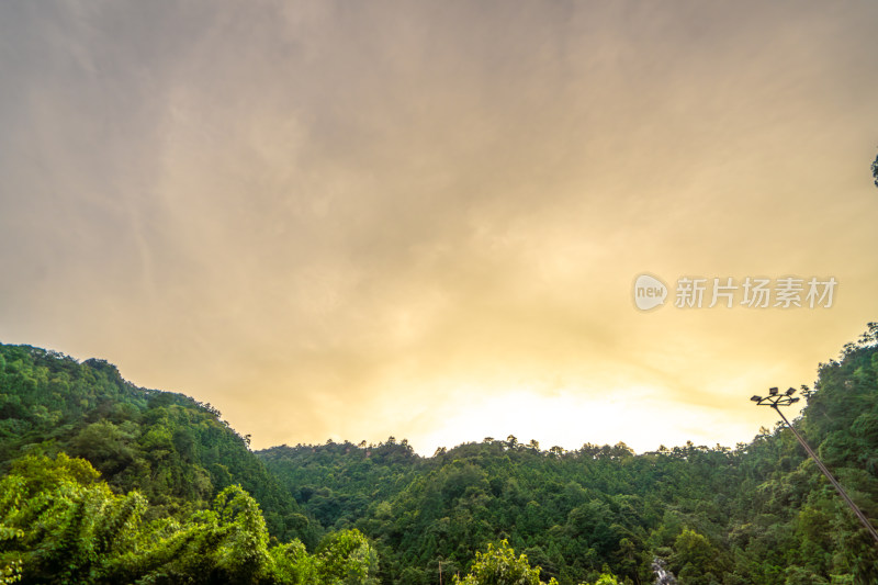 中国湖南张家界景区奇特山峰与茂密森林