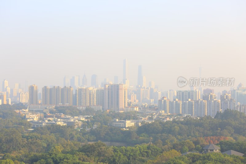 城市高楼与绿树景观