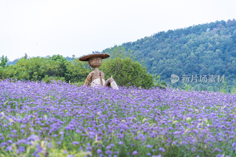 武汉光谷花海风景