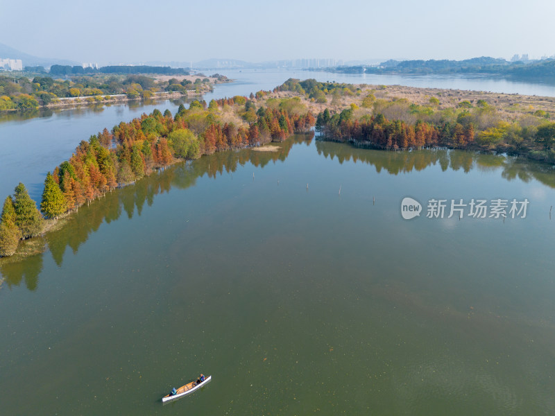 福州多彩树林沿水域分布的自然风景航拍