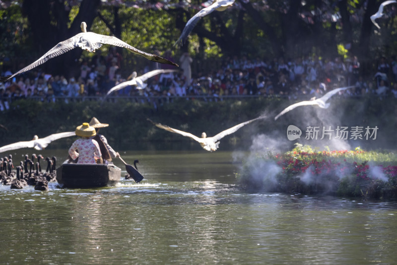 广州长隆飞鸟乐园百鸟飞歌