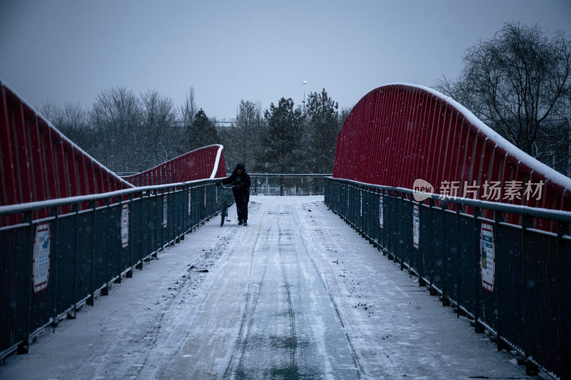 下雪的公园特写景观