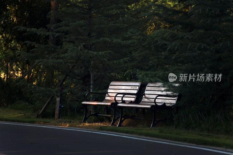 东营市泮水公园