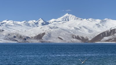 乃钦康桑雪山