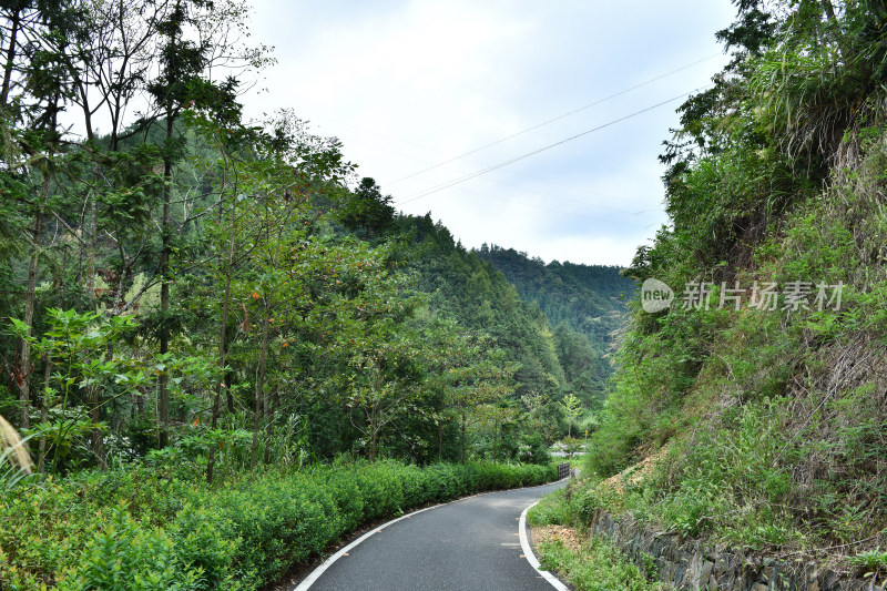 绿色步道，生态环境