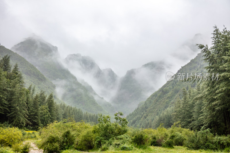 山间云海