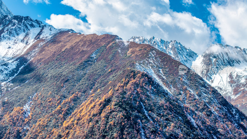 四川阿坝理小路的山区秋日风景