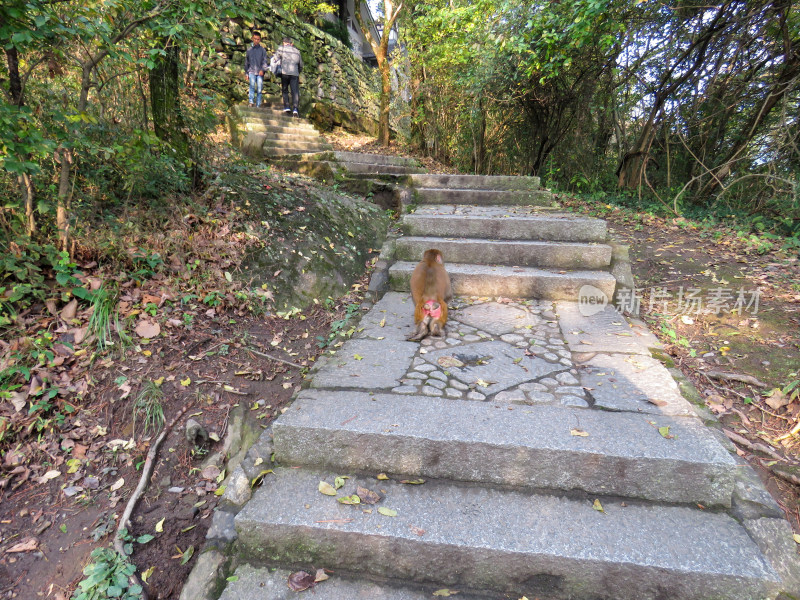 中国江西九江庐山旅游风光