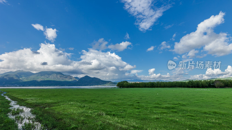 丽江拉市海湿地公园夏末风光茶马古道风景