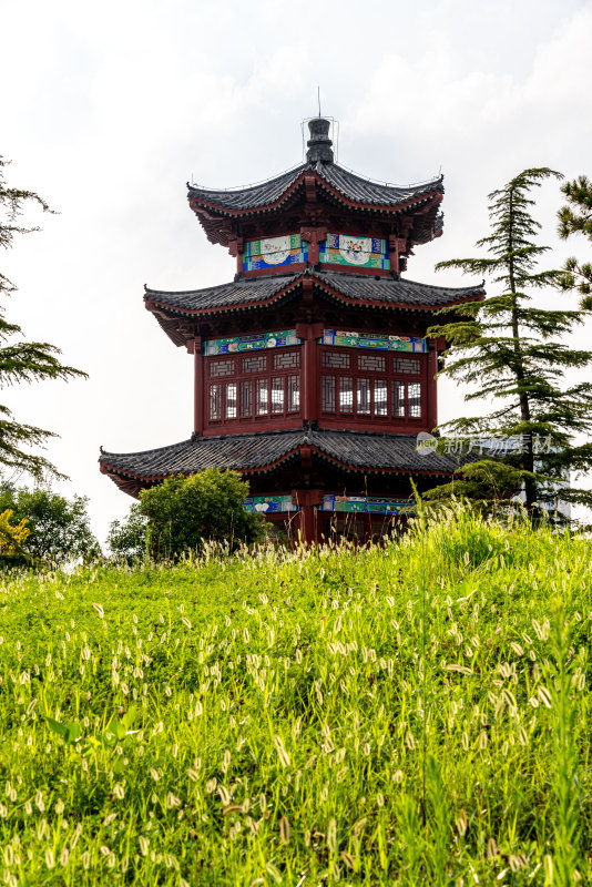 邹城中央公园城市绿植景观