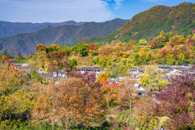 皖南秋色塔川国家森林公园