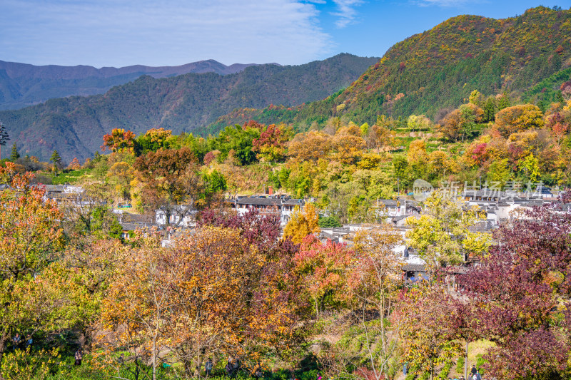 皖南秋色塔川国家森林公园