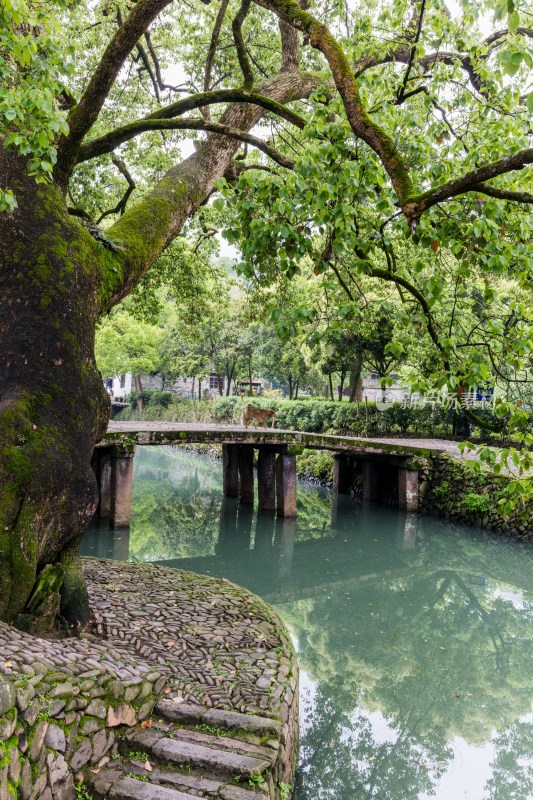 岩头镇永嘉县,温州市,浙江省,丽水街