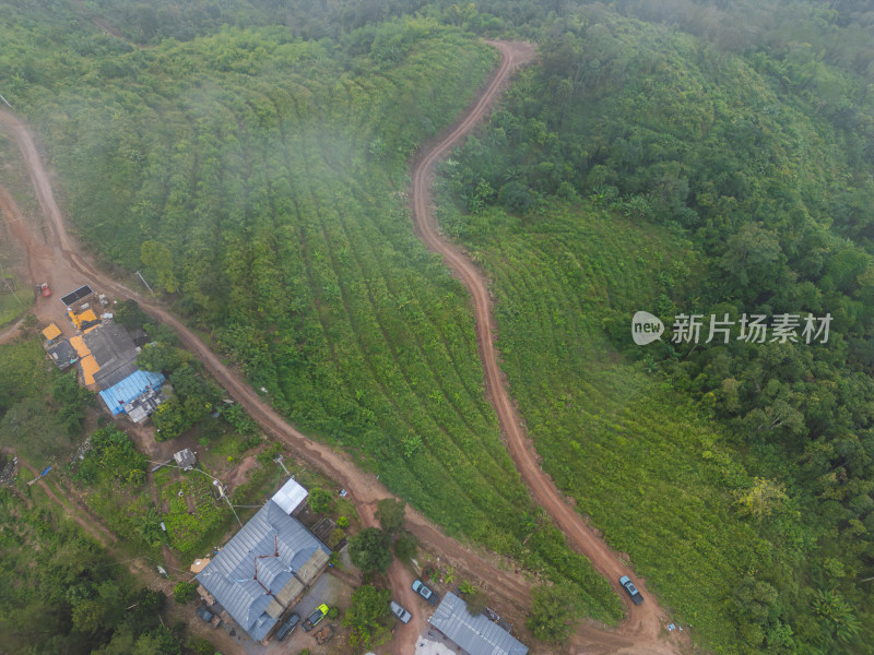 航拍视角下的丛林间越野车营地与植被景象