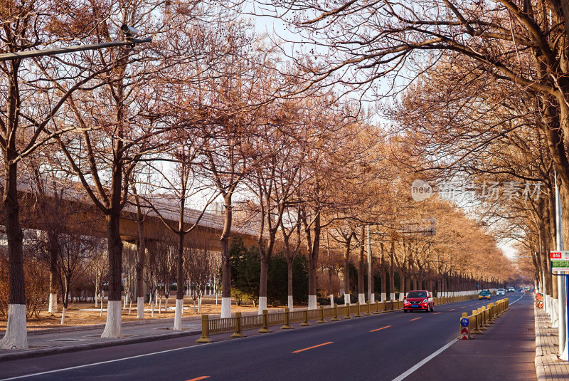 冬季街道与高架桥景象