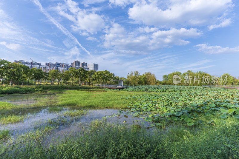 武汉江夏中央大公园风景