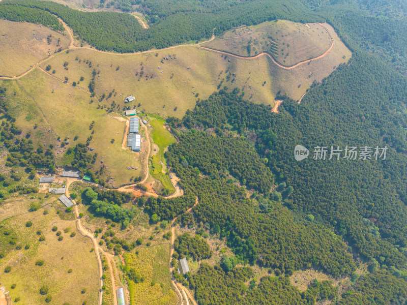 航拍山顶牧场田园风光