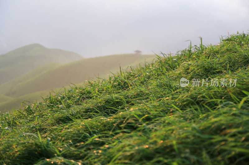 唯美清晨高山日出云海 武功山高山草甸