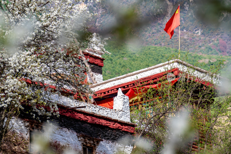 藏式建筑配红旗，春花环绕别具特色