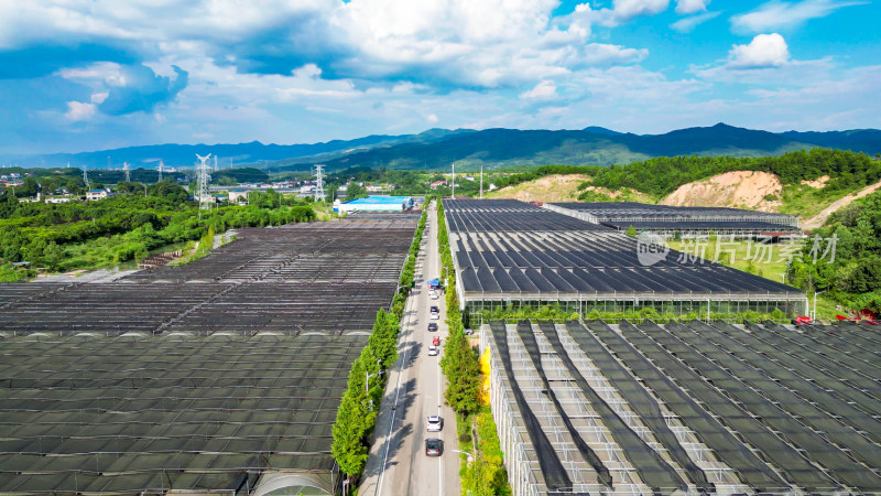 航拍湖南九峰农博园现代农业种植基地