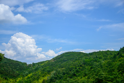 山中的风景