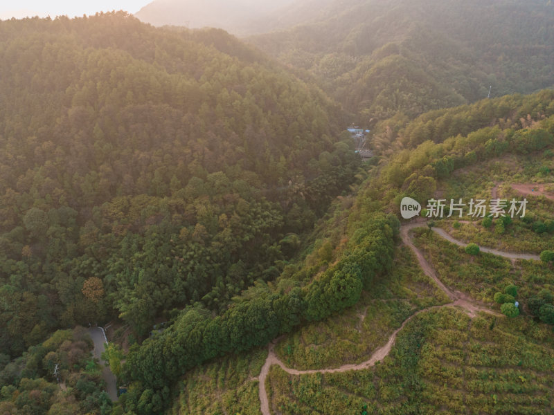 怀化中坡山