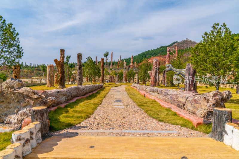 山东青州九龙峪风景区硅化木地质公园