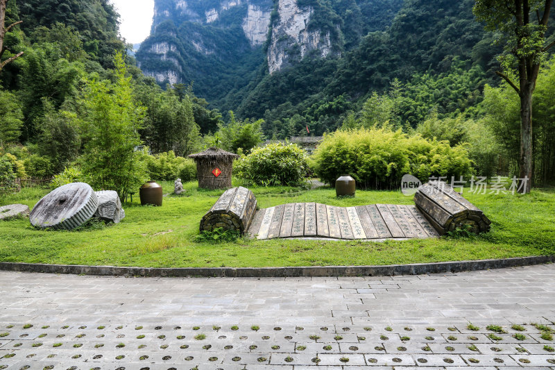 湖北宜昌三峡竹海风景区，自然风光，竹海