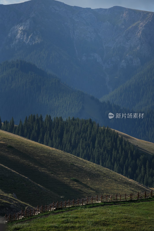 新疆森林果子沟草原风景