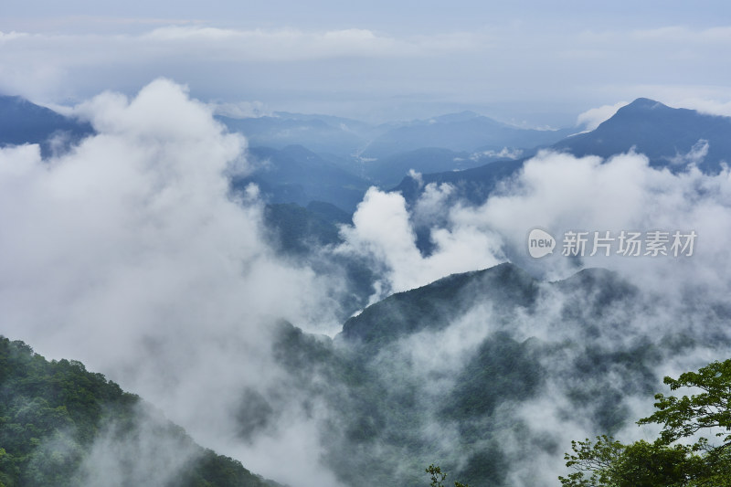 云雾缭绕的金佛山