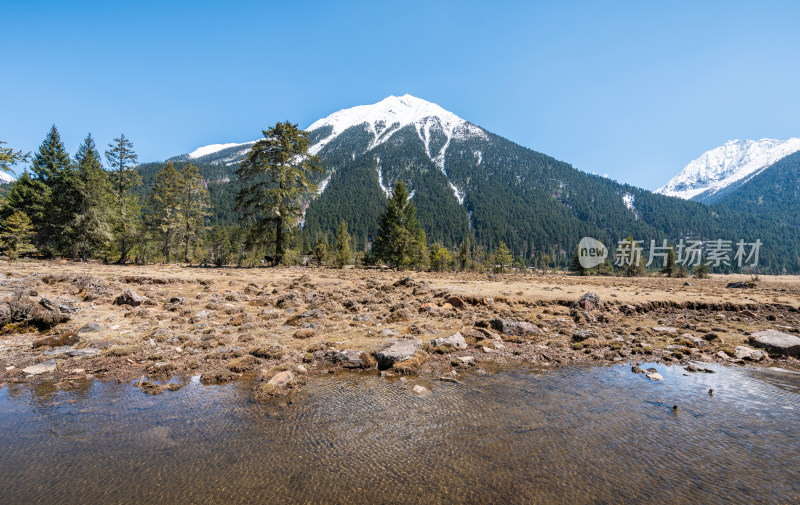 西藏林芝 巍峨雪山溪流湖泊与原始森林特写