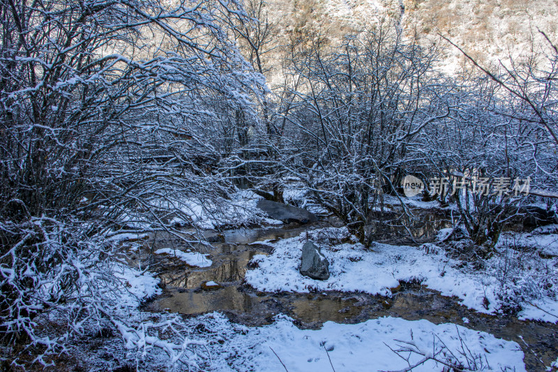 冬日积雪覆盖的山林溪流雪景