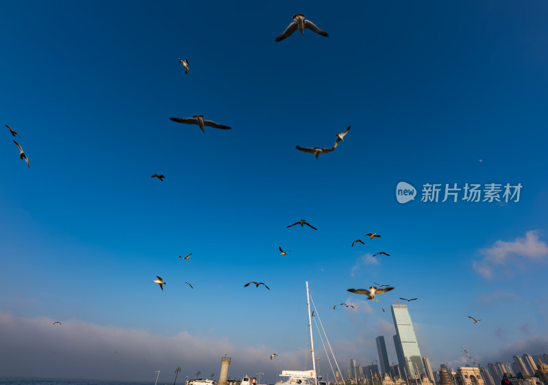 夏天大连星海湾自然风光